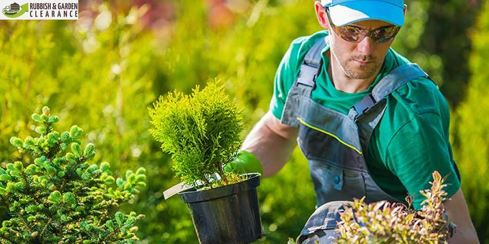 Garden Clearance Sutton: Why Do You Leave It To The Professional?
