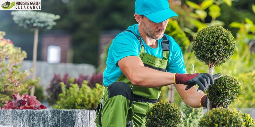 Garden Clearance Sutton: How much does garden clearance cost in 2023?