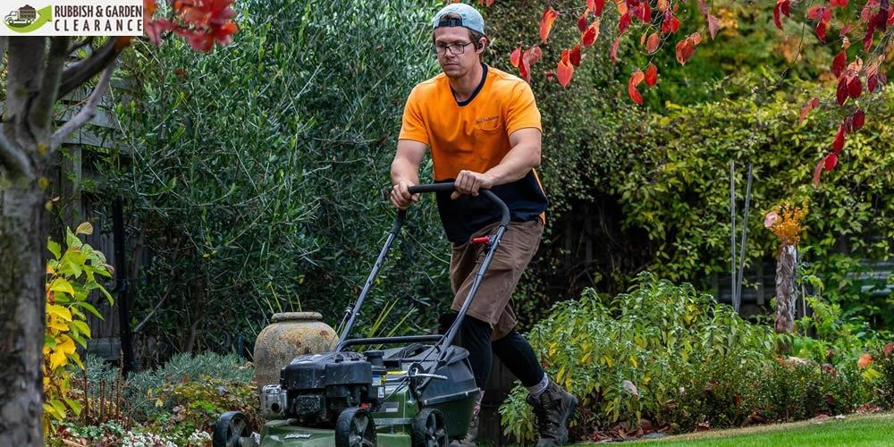 Garden Clearance in Sutton: What Is It and What Does It Include