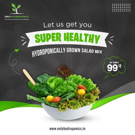 Hydroponic Salad - The Easiest and quickest Way to Get Delicious, Healthy Salad at Home