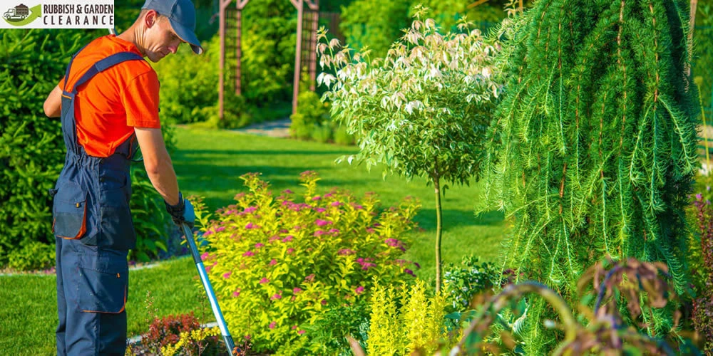 Garden Clearance and Garden Waste Removal Guide in Croydon