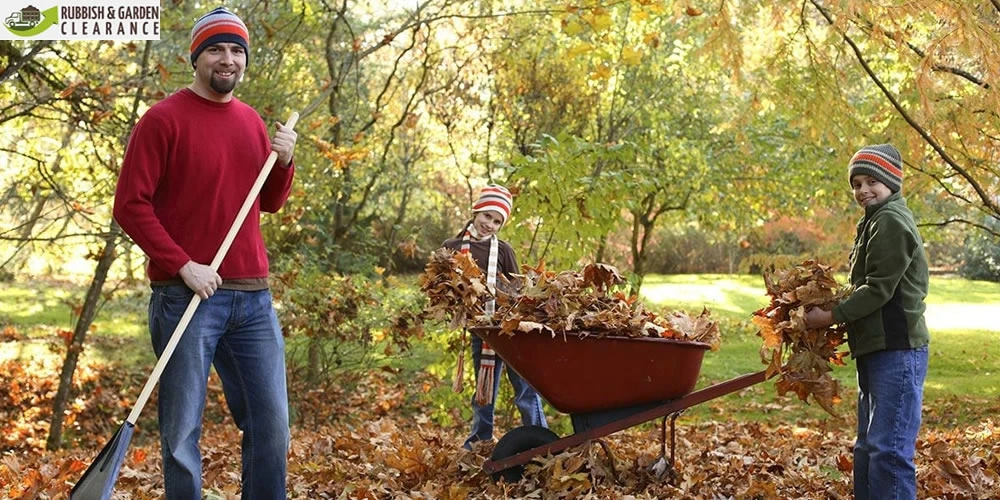 Garden Clearance Sutton: Autumn is the faultless time to clear your garden