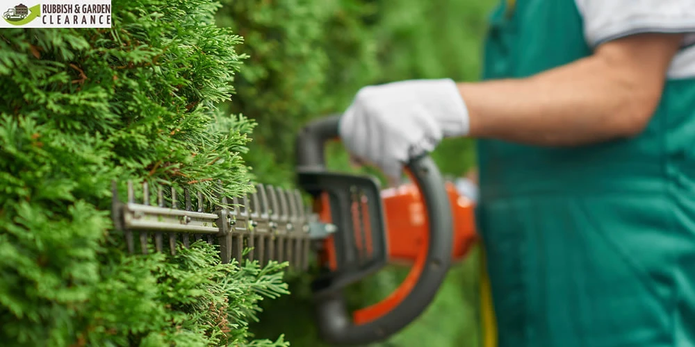 Garden clearance Merton Hacks: all you need to know