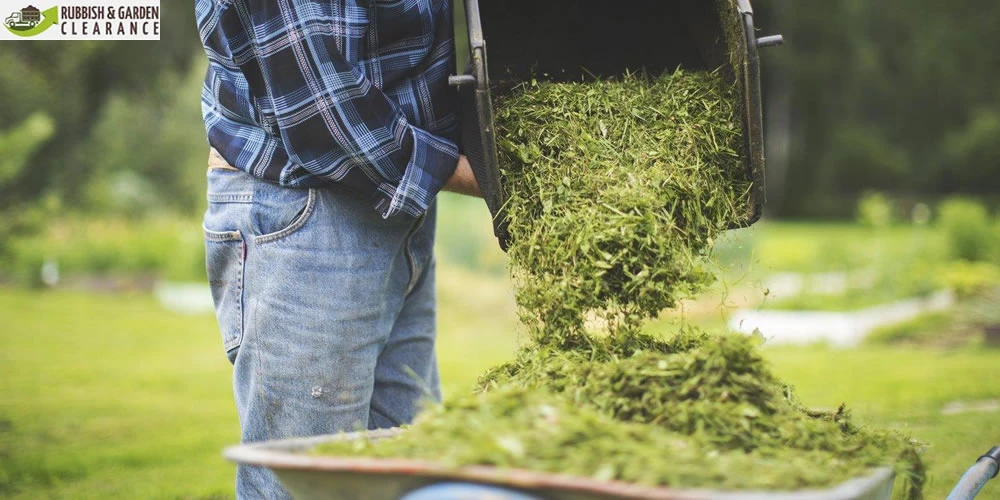 Garden Clearance in Merton Pre and Post