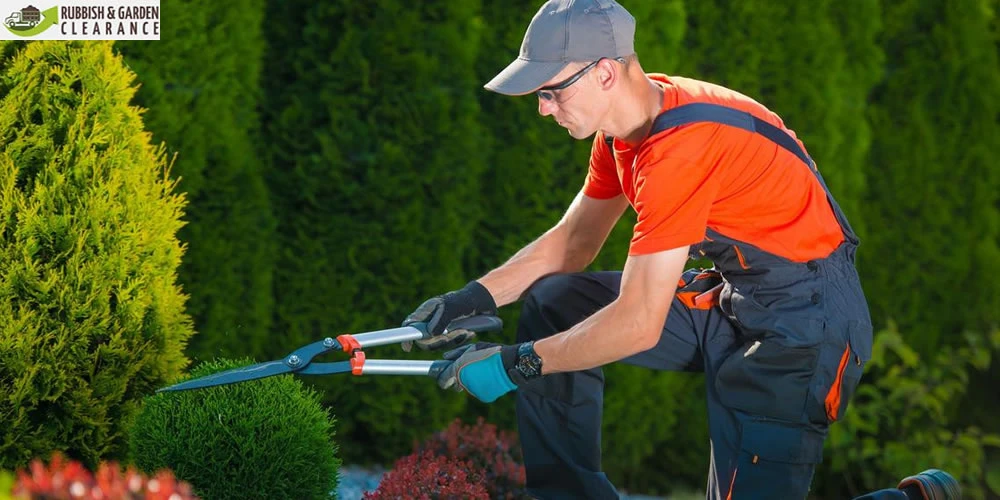 Practical Advice for Spring Garden Clearance in Sutton