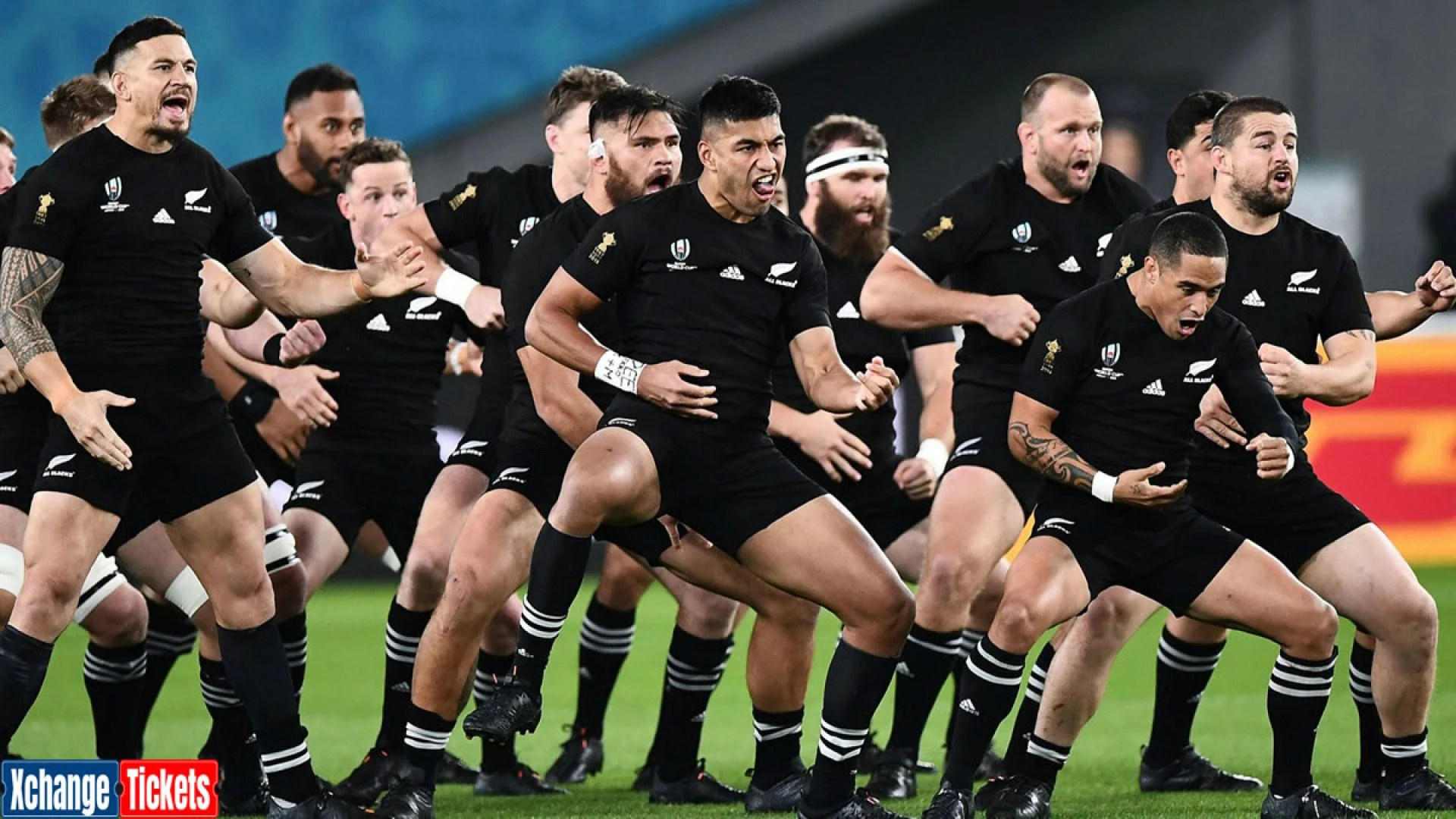 Why the All Blacks must be courageous against South Africa?