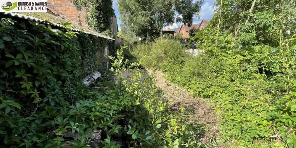 How to do a Wild Garden Clearance in Merton