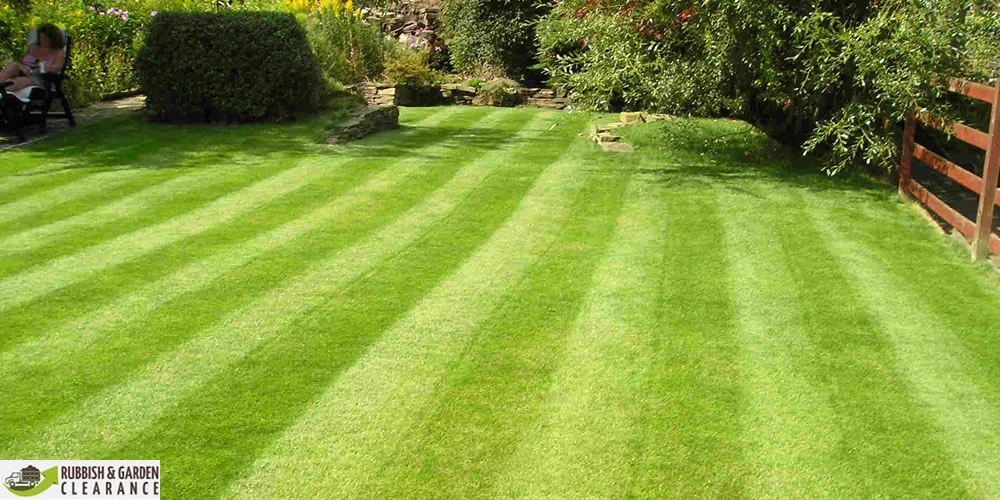 Garden clearance Croydon: How to keep your garden clean
