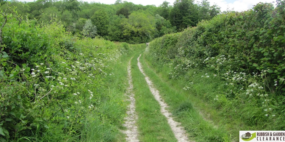 Garden clearance Merton: How to clear garden wastes easily?
