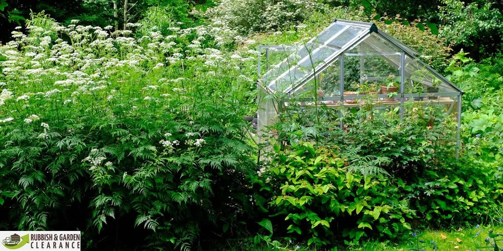 7 ways to manage your space in garden clearance Merton