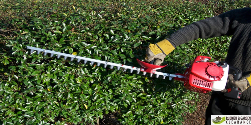 Garden clearance Sutton: How to obtain rid of garden waste?