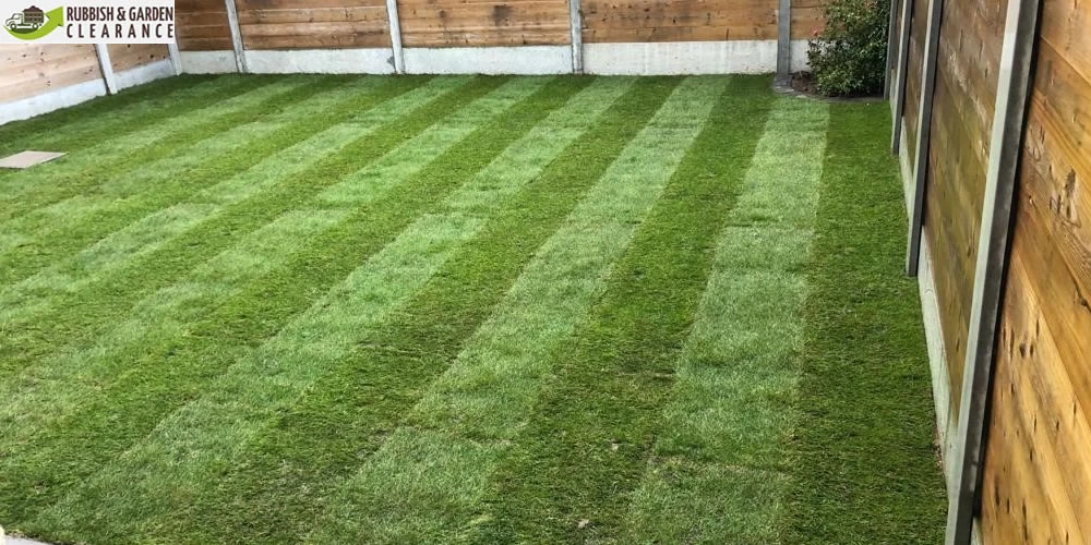 Garden clearance Services in Merton