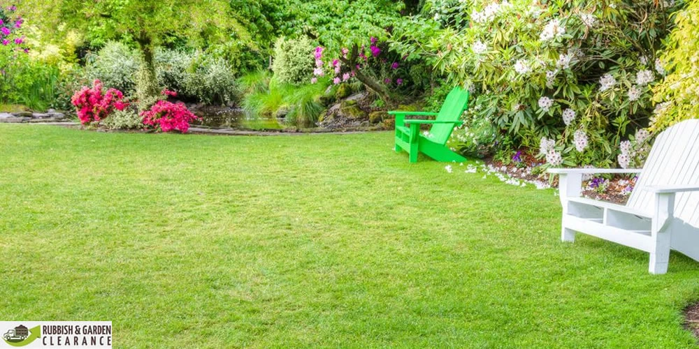 Garden clearance Sutton: Your guide on how to clear up an overgrown garden