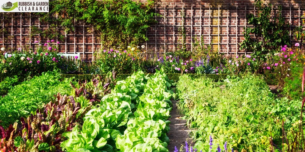 Garden clearance Sutton: Professionals can assist you to bring your garden back to clean