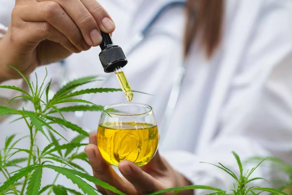 The Genesis of Rick Simpson Oil: Tracing the Origins of a Cannabis Oil Phenomenon