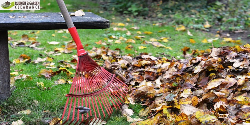Garden Clearance: 8 Behaviors You Can Gross Maintenance of Your Garden