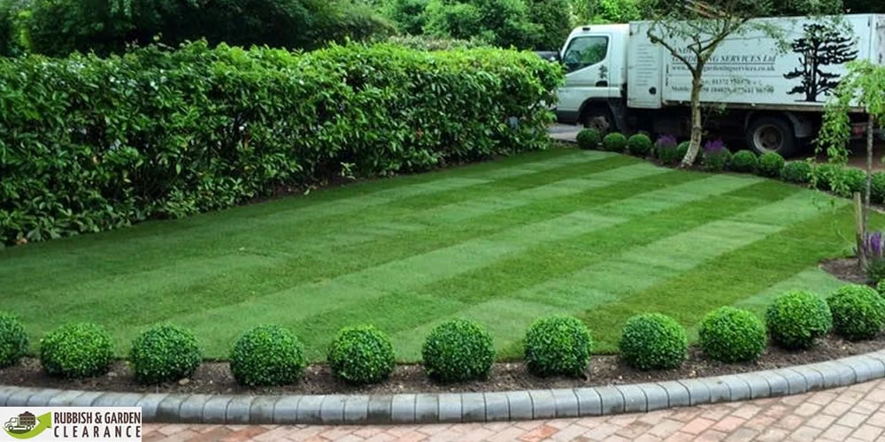 The Ultimate Guide to Garden clearance services