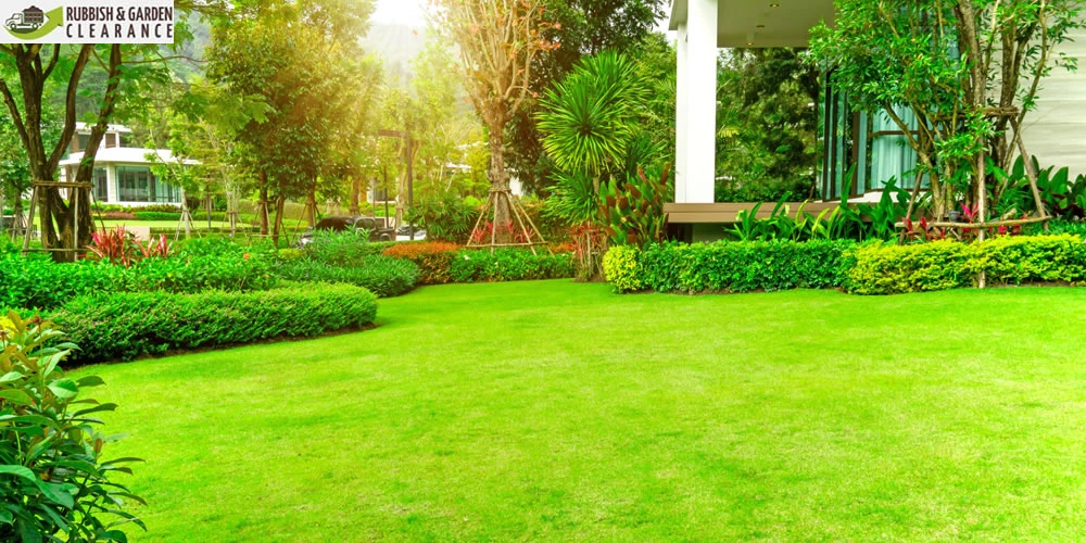 Why summer is the perfect time for a garden clearance