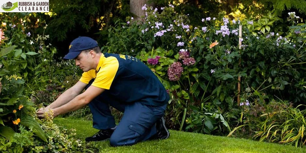 Garden Clearance: The Most Effective Way to Remove Garden Waste