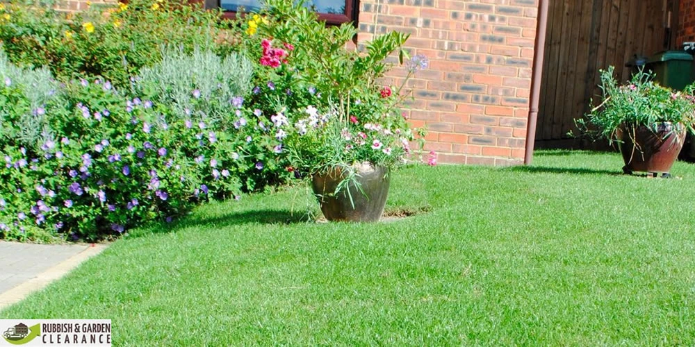 Introduction to risk in the garden clearance