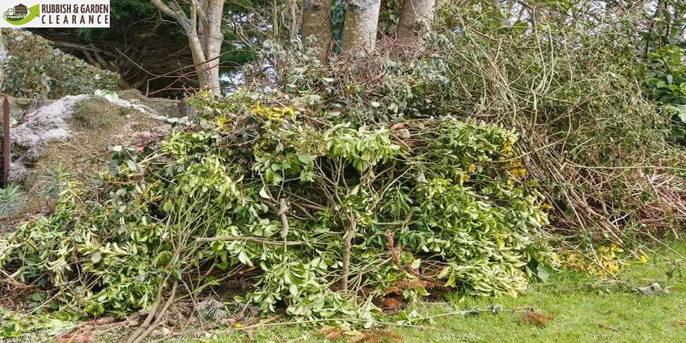 Hire a professional garden clearance company to clean your garden