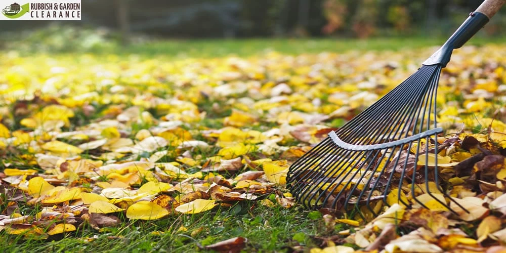 Local Garden Clearance in London