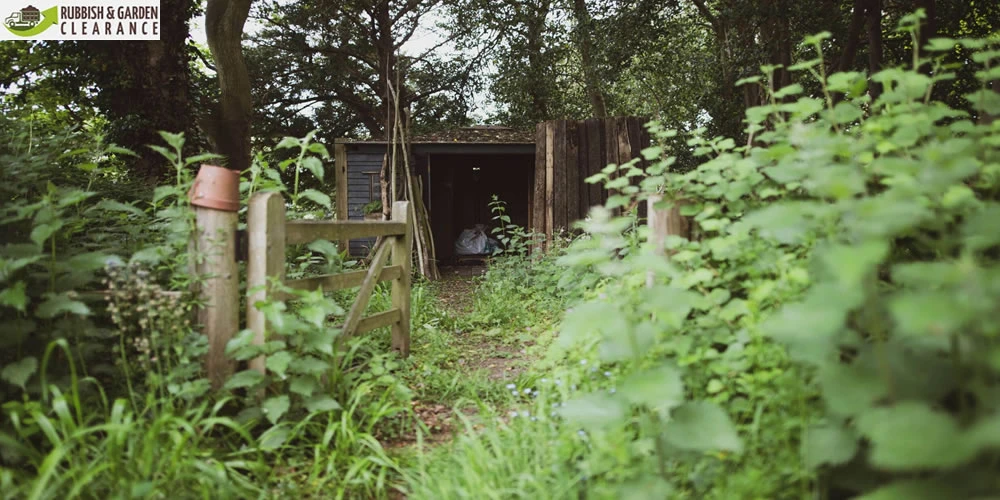 Garden Clearance: 5 Top Natural &amp; Homemade Weed Killers for your garden clearance