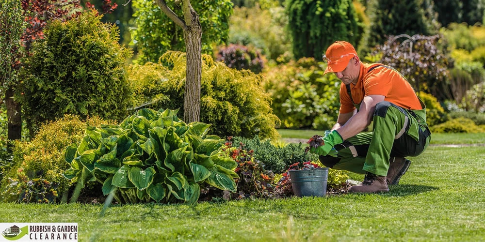 What to appearance for in a Garden Clearance professional