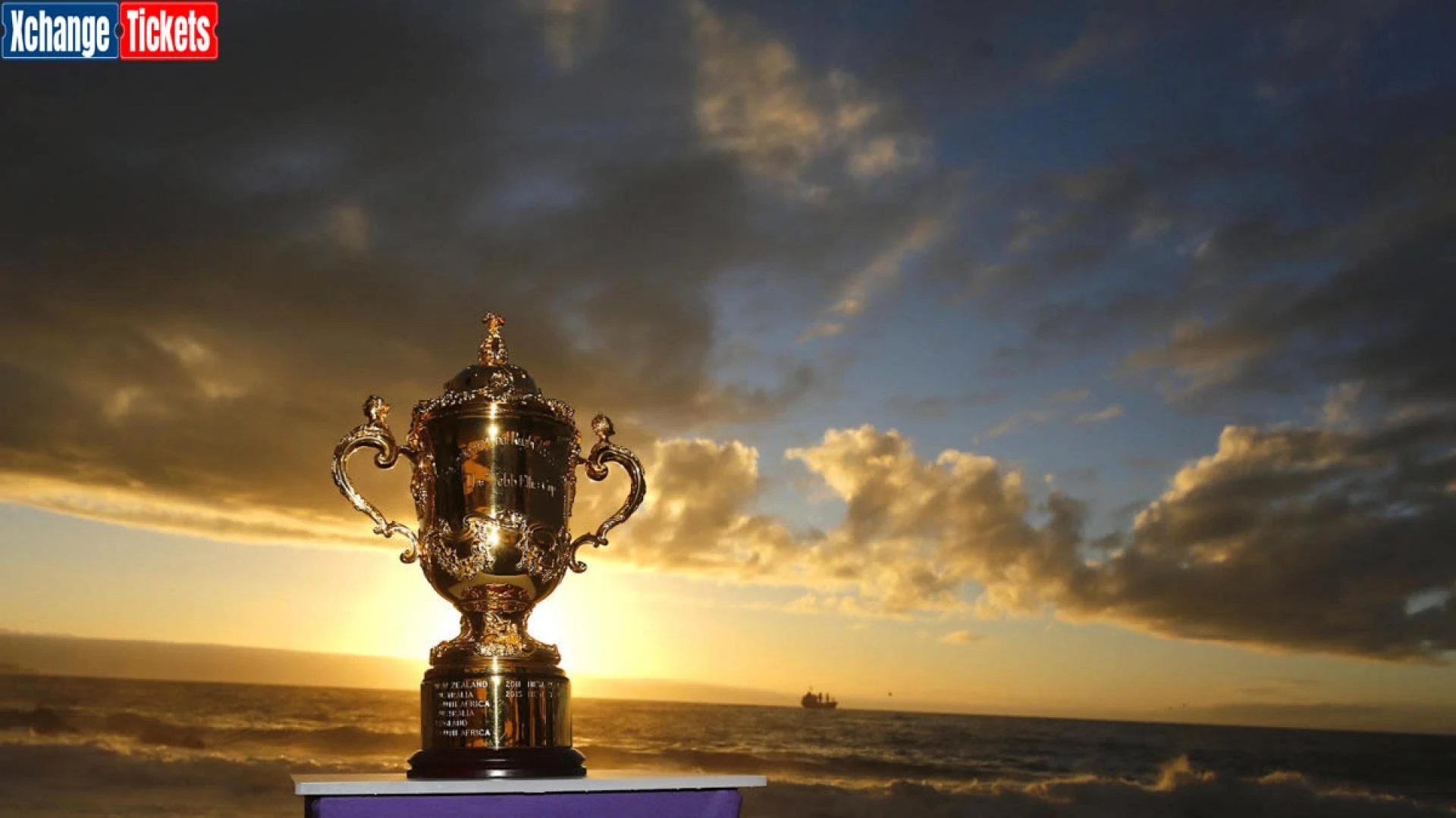 Spotlight on the history of Rugby World Cup
