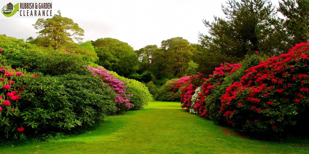 Garden Clearance: How to Clear Garden Waste with Less Value