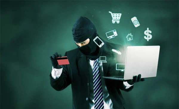 Payback Ltd: A Comprehensive Review of Features and Benefits