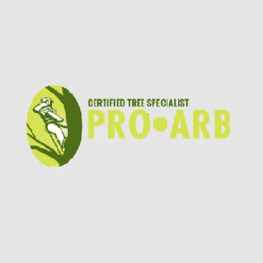 ProArb: Tree stump Removal Christchurch