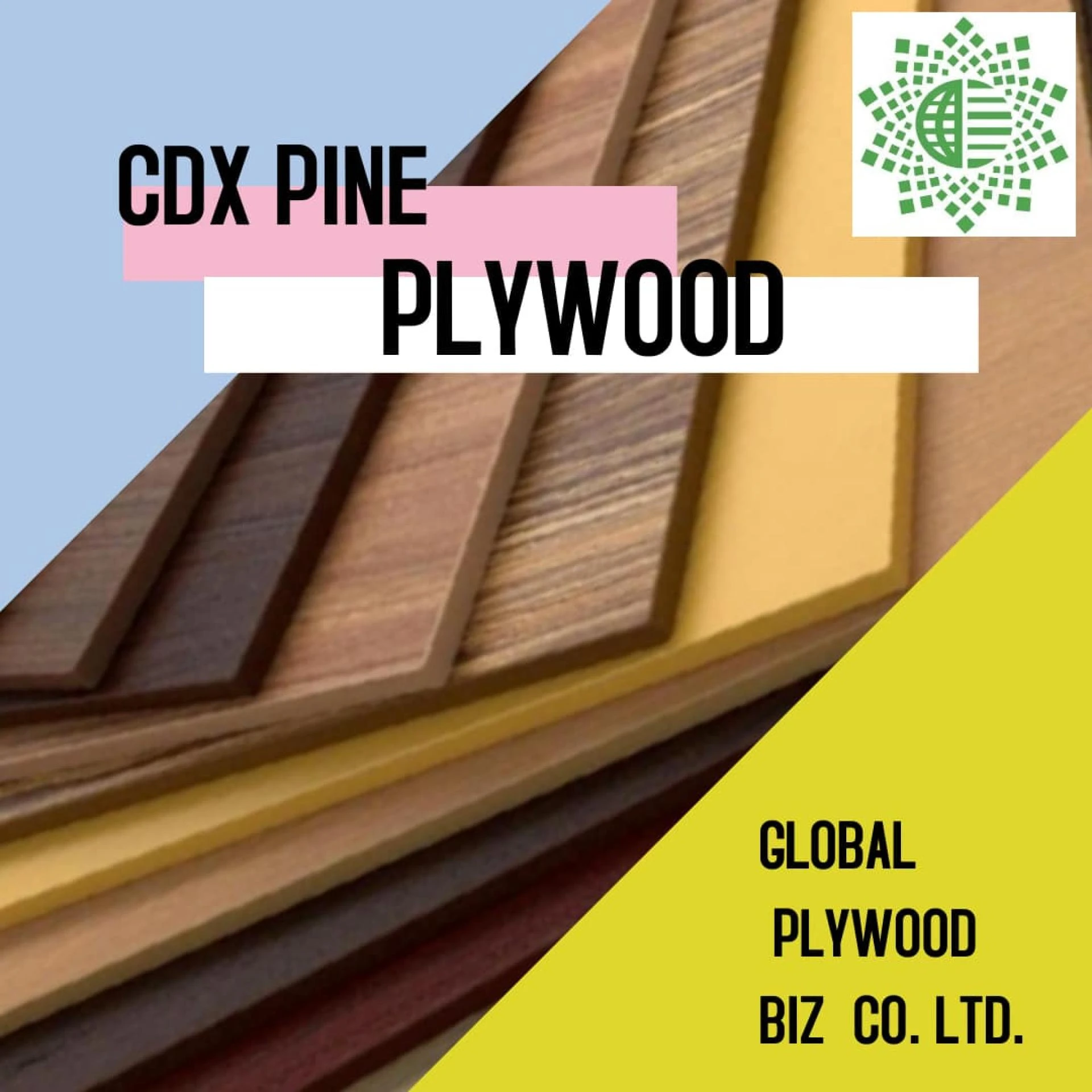 CDX pine plywood | Global Plywood biz co.ltd