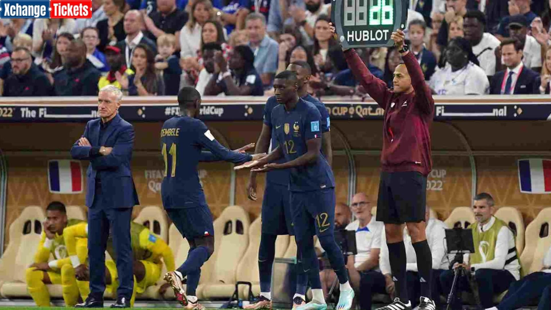 Italy Rugby World Cup squad: Brief overview