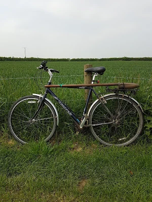 potato dibber catch-up, maris peer, bike in the mud, the sentence by stephanie scott, mary anne sate, imbecile by alice jolly
