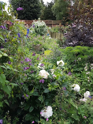 in flower, heady scents, end of the academic year, education continuing, vibrant expectation