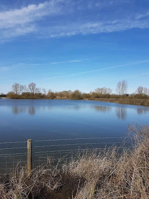flooded landscape, first chiffchaff, first swallow