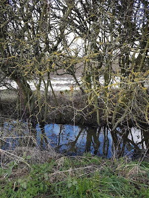 rich spring sunlight, hedge, waterlogged ditch, celendine, hail