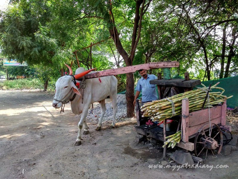 Rasvanthy\'s or sugarcane juice stalls on the way to Shani Shinganapur near Shirdi Rasvanthy\'s or sugarcane juice stalls on the way to Shani Shinganapur near Shirdi