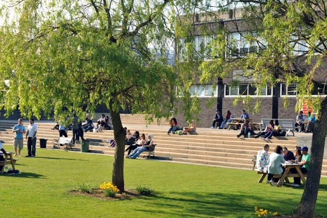 Innovation, Technology and Creativity At The Academy of Art University