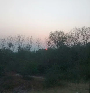 tongue, tastes and afterthoughts/smiles