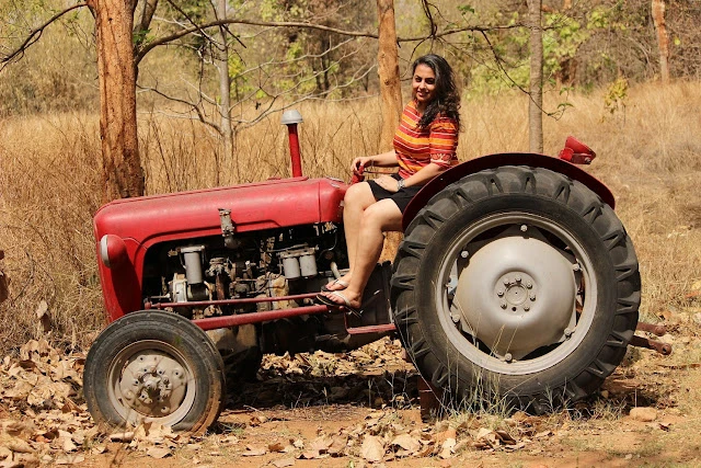 Glamping in Bandhavgarh National Park Madhya Pradesh