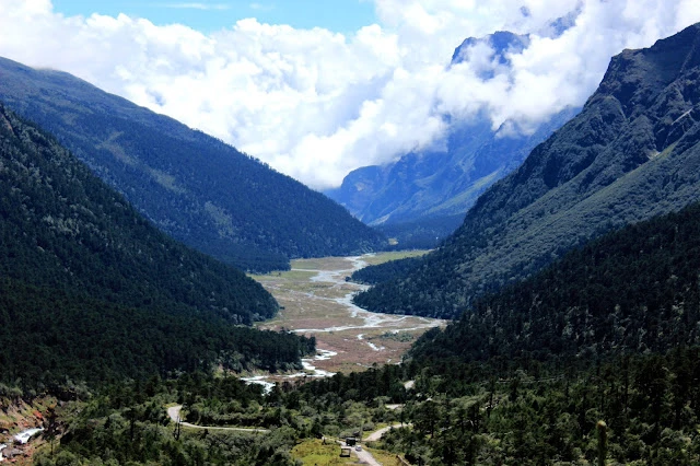 Stairway to heaven | Yumthang Valley, North Sikkim