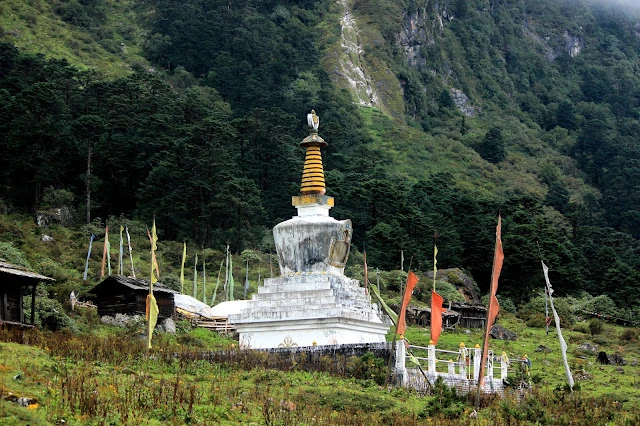 Stairway to heaven | Yumthang Valley, North Sikkim