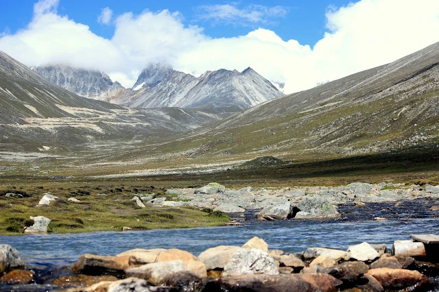 Stairway to heaven | Yumthang Valley, North Sikkim