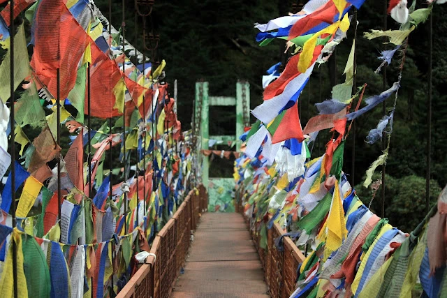 Stairway to heaven | Yumthang Valley, North Sikkim