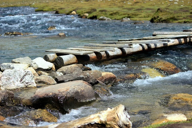 Stairway to heaven | Yumthang Valley, North Sikkim