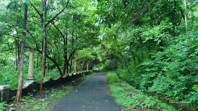 Mangalam Dam, Palakkad