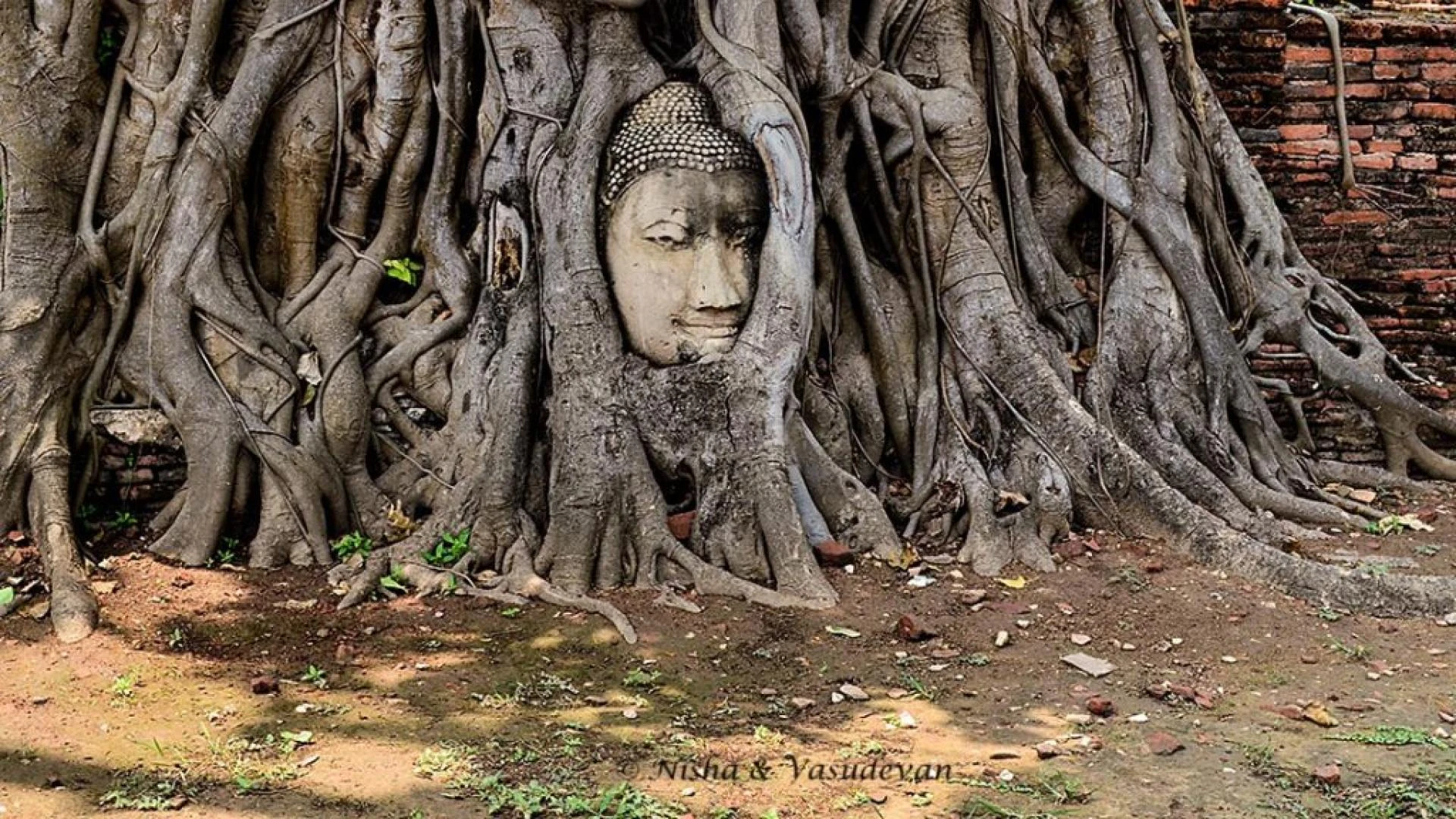 Day Trip to Ayutthaya, the First Capital of Thailand