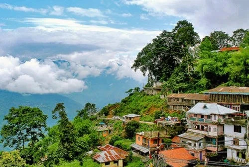 Travel Acharya